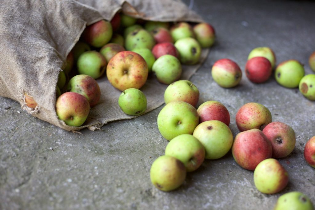 Bio-Äpfel die in kein Schema passen ,eigenen sich zu Food Upcycling